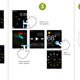 Illustration for article titled Here's the UI Redesign the Apple Watch Needs